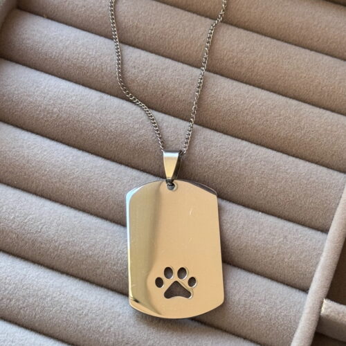 COLLAR CHAPITA DOG PERSONALIZADO